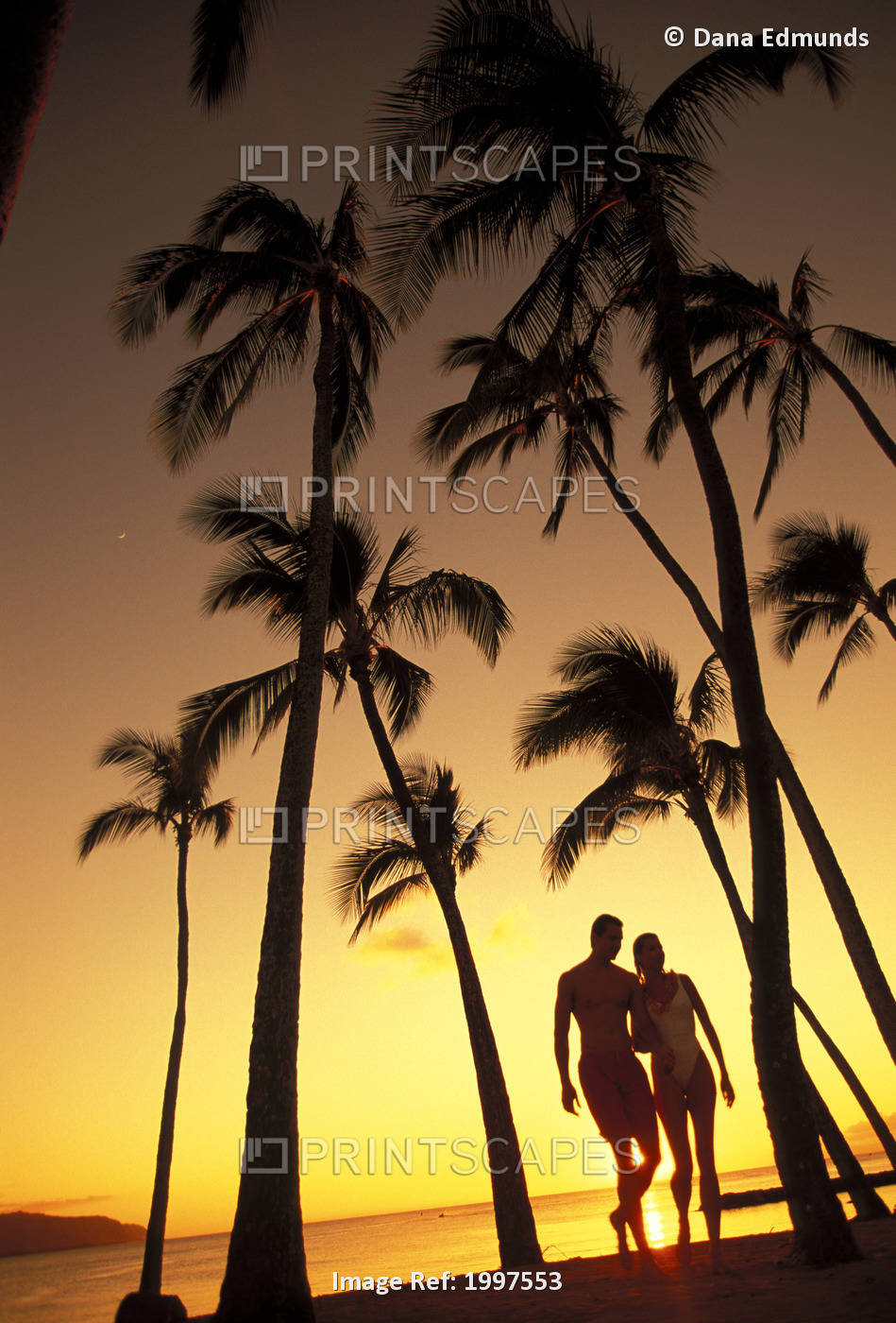 Silhouette Of Romantic Couple In Park At Sunset, Palm Trees, Ocean In Background