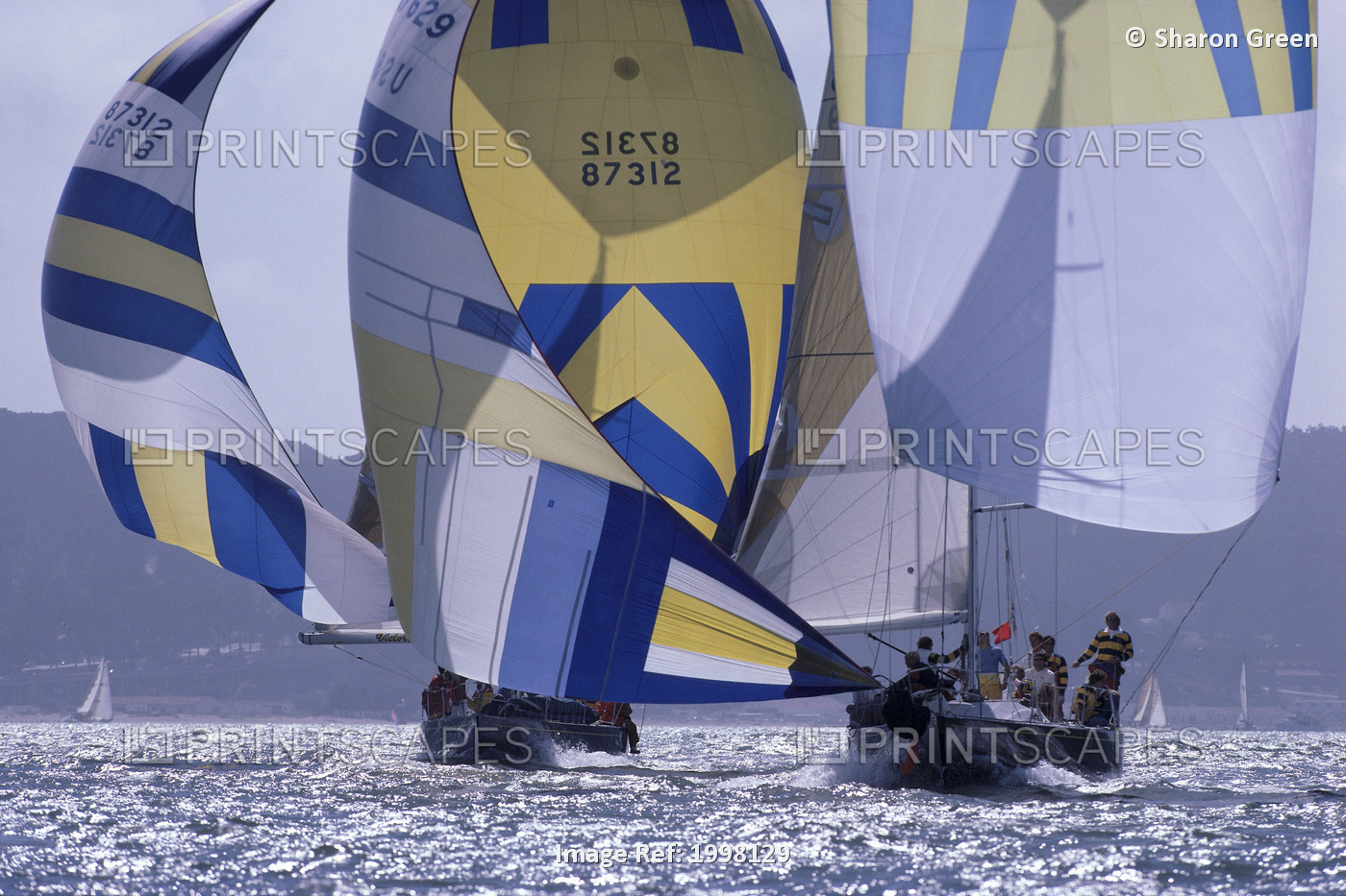 Florida, Key West Race Week, Bow View Of Two Yachts Heading To Camera, Blue ...