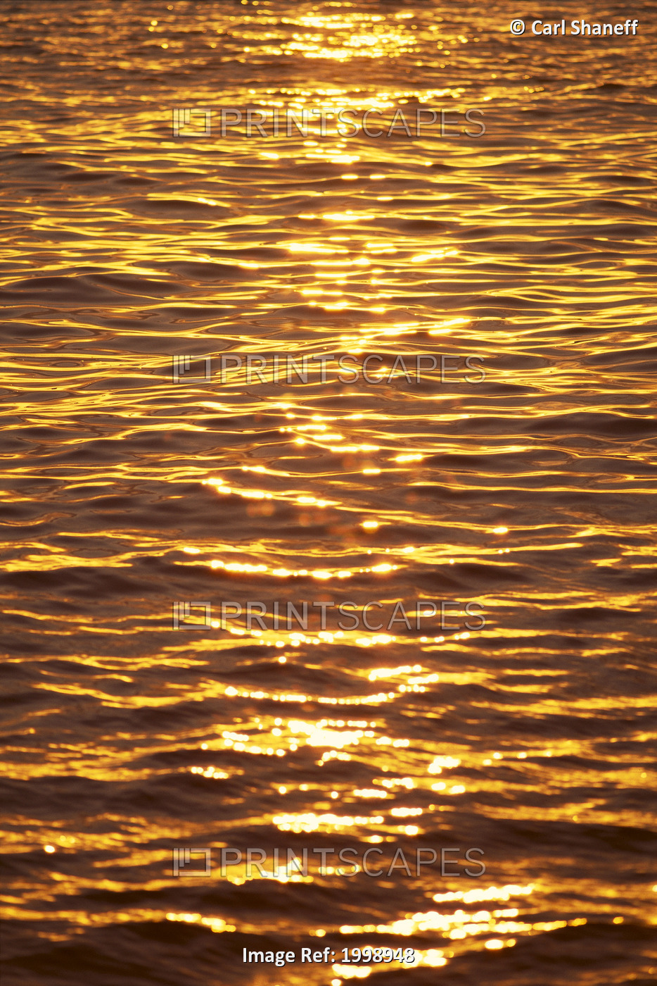 Ocean Texture Ripples At Sunset, Golden Yellow Waters B1447