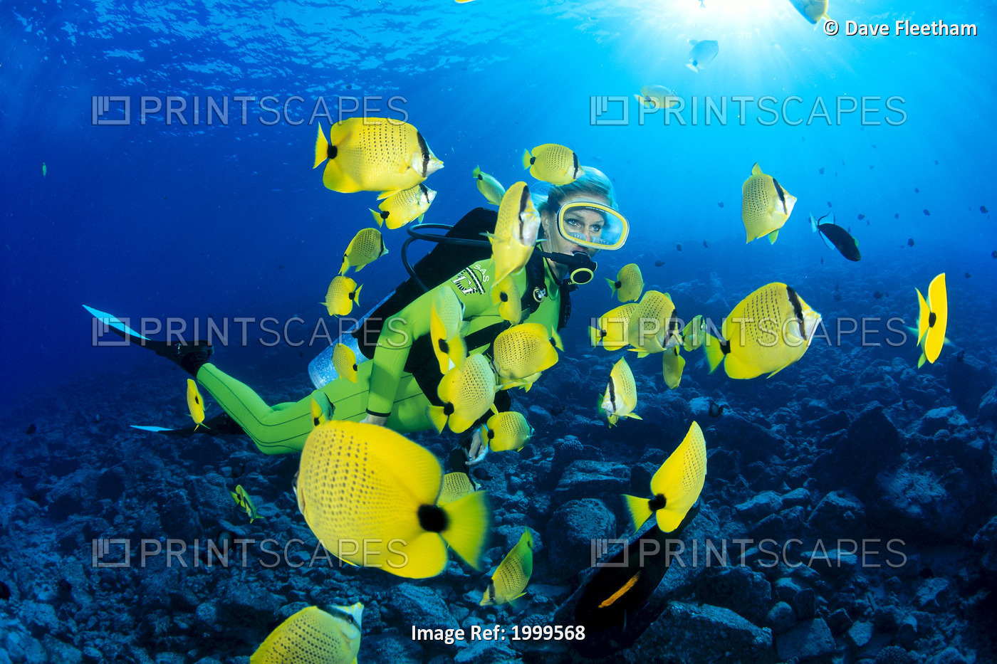 Hawaii, Diver And Milletseed Butterflyfish (Chaetodon Miliaris) With Sunburst