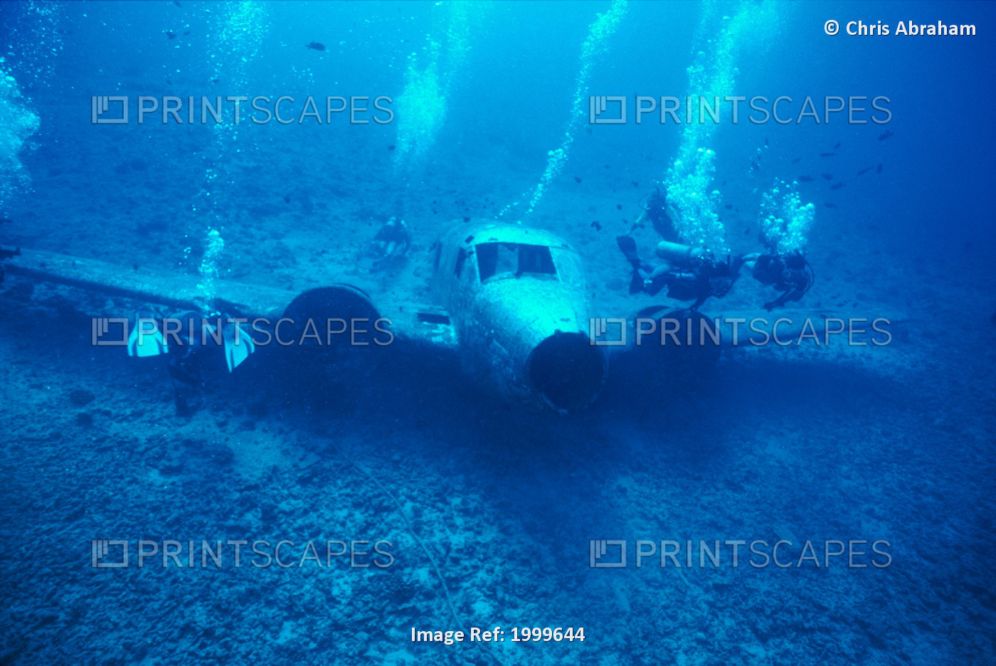 Hawaii, Oahu, Airplane Wreck Off Waianae Coast, Divers