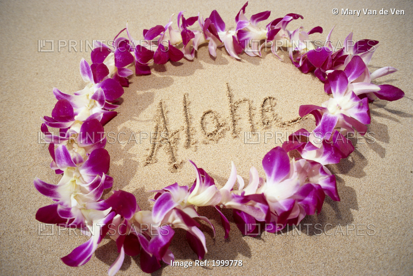 Hawaii, Close-Up Detail Of Purple Orchid Lei On Beach Aloha Written In Sand ...