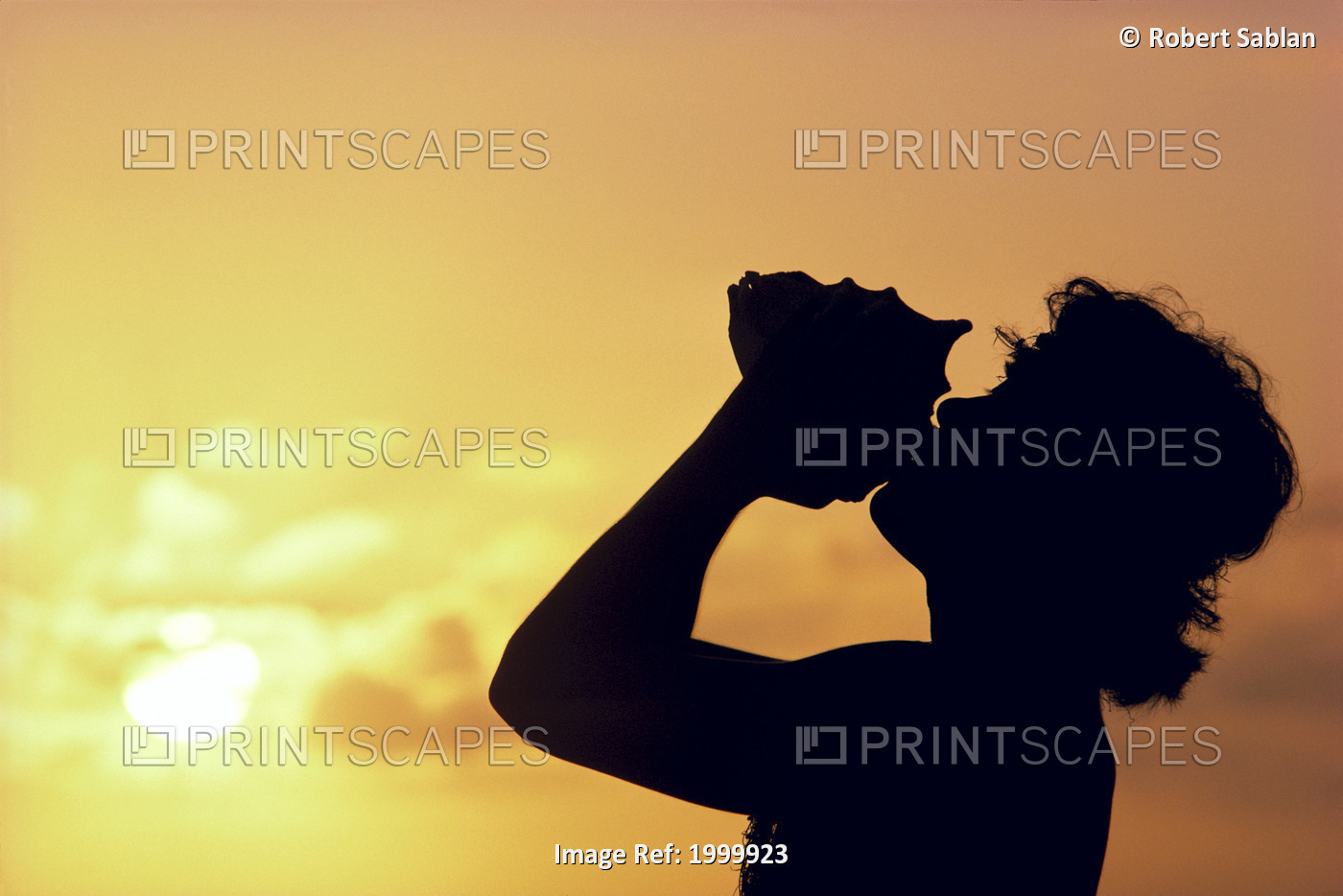 Side View Of Conch Shell Blower On Cliff, Silhouetted At Sunset, Pink Golden ...
