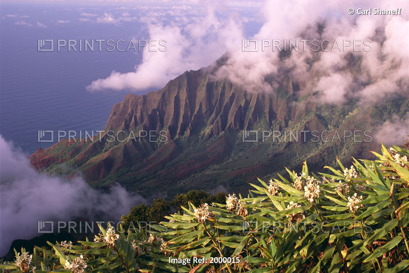 Hawaii, Kauai, North Shore, Kalalau Valley With Yellow Ginger In Foreground, ...