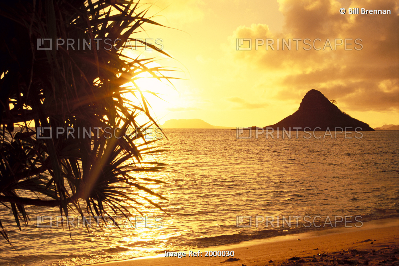 Hawaii, Oahu, View Of Chinaman's Hat At Sunset, Golden Light Shimmering On ...