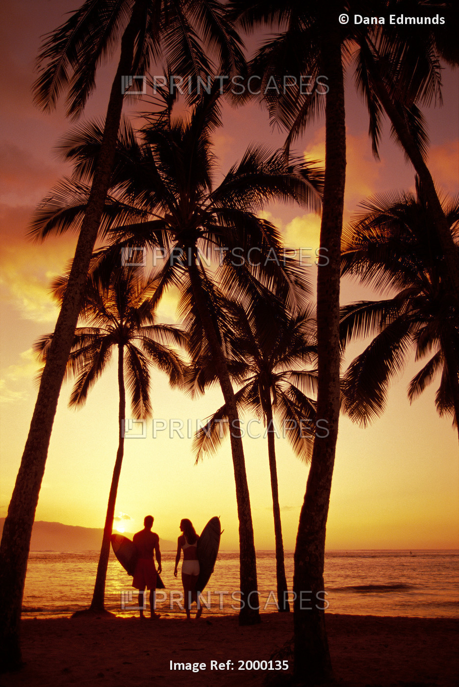 Hawaii, Oahu, North Shore, Couple Walk Along Shoreline Surfboard, Palms At ...