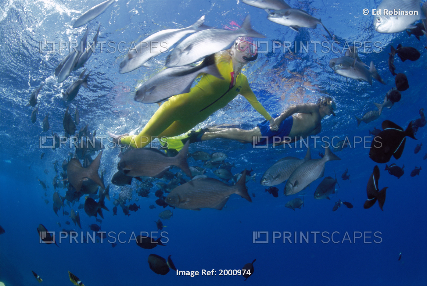 Hawaii, Maui, Molokini, Couple Snorkeling Near Surface, Fish