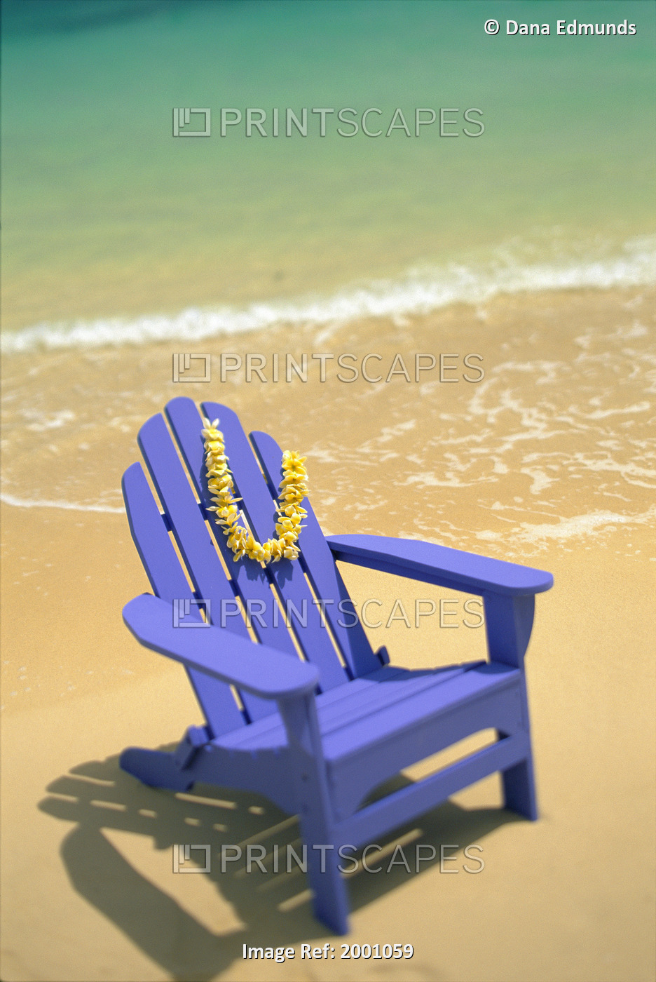 Blue Chair Along Shoreline With Plumeria Lei Hanging On Side