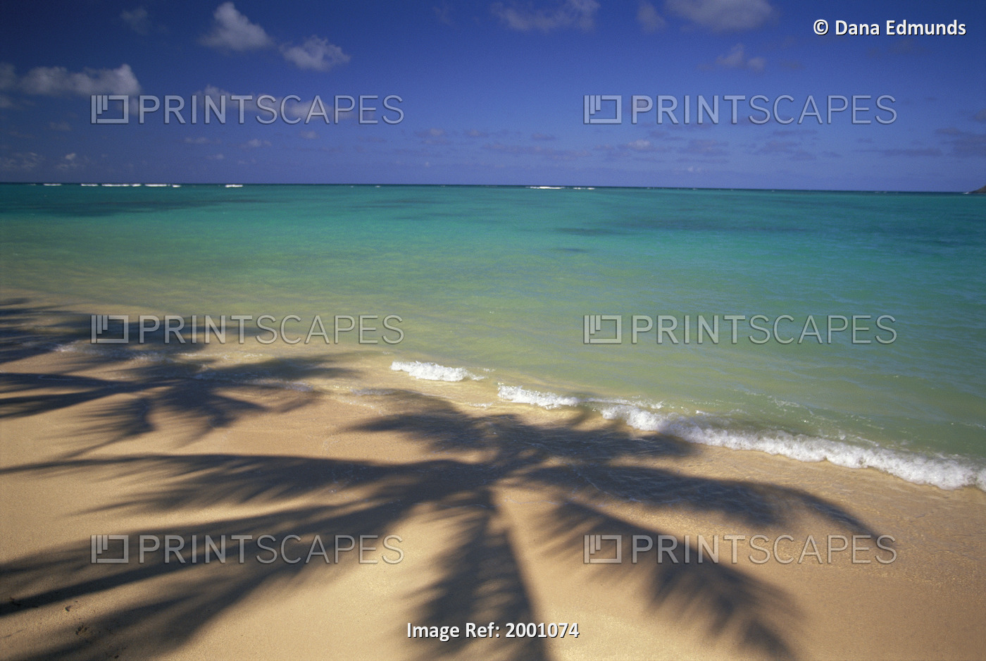 Beach Shoreline With Palm Tree Shadows, Calm Turquoise Ocean Horizon