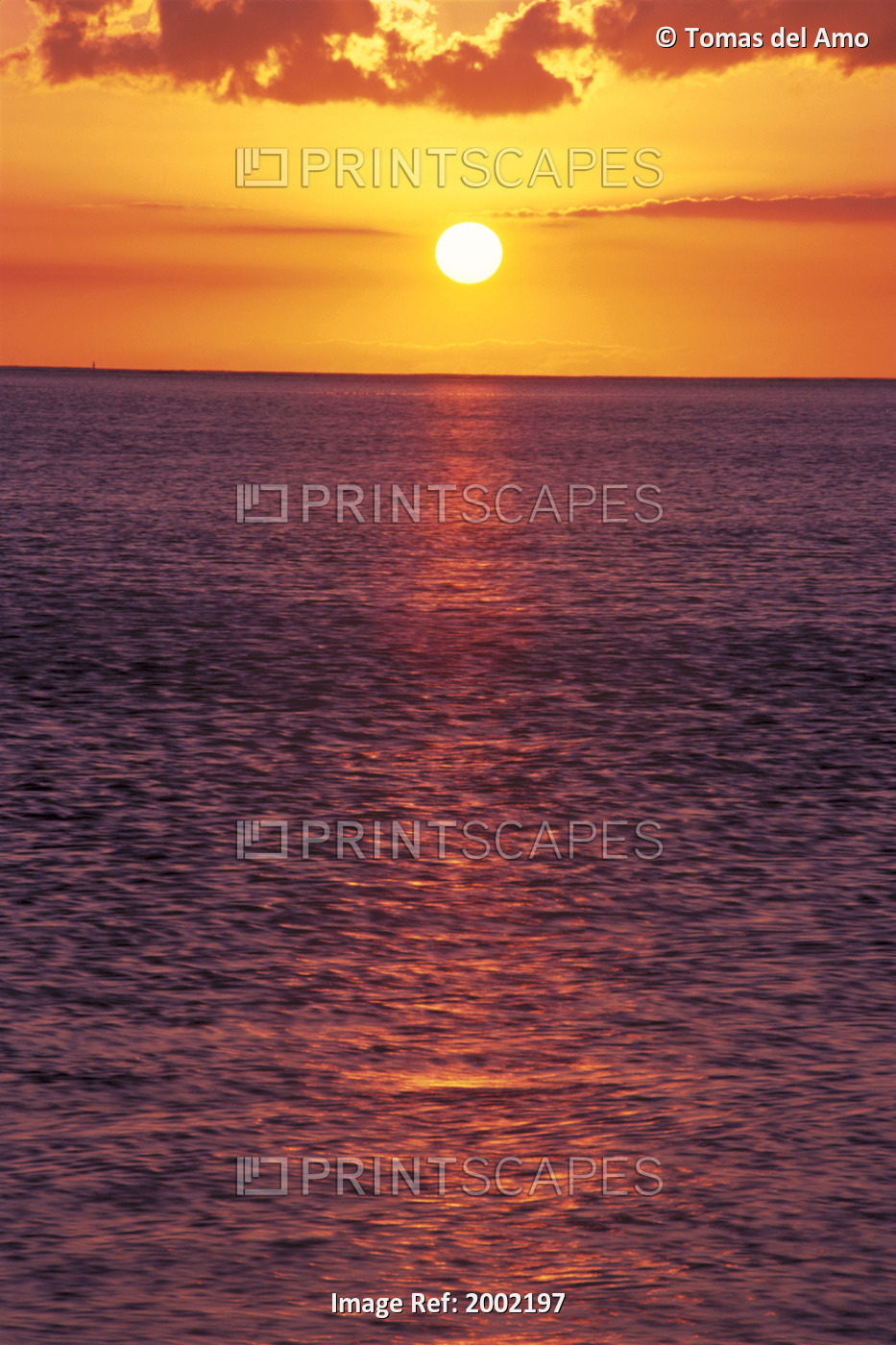 Golden Sun Ball, Sunset With Orange Sky Over Ocean Purple Surface With ...