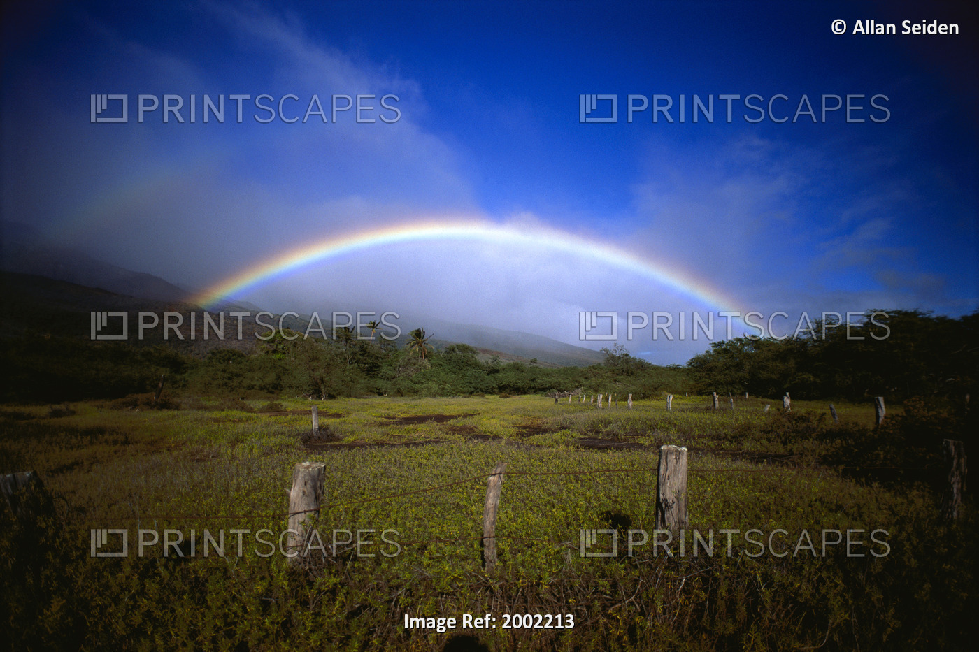Hawaii, Molokai, Rainbow Over Green Ranch Land