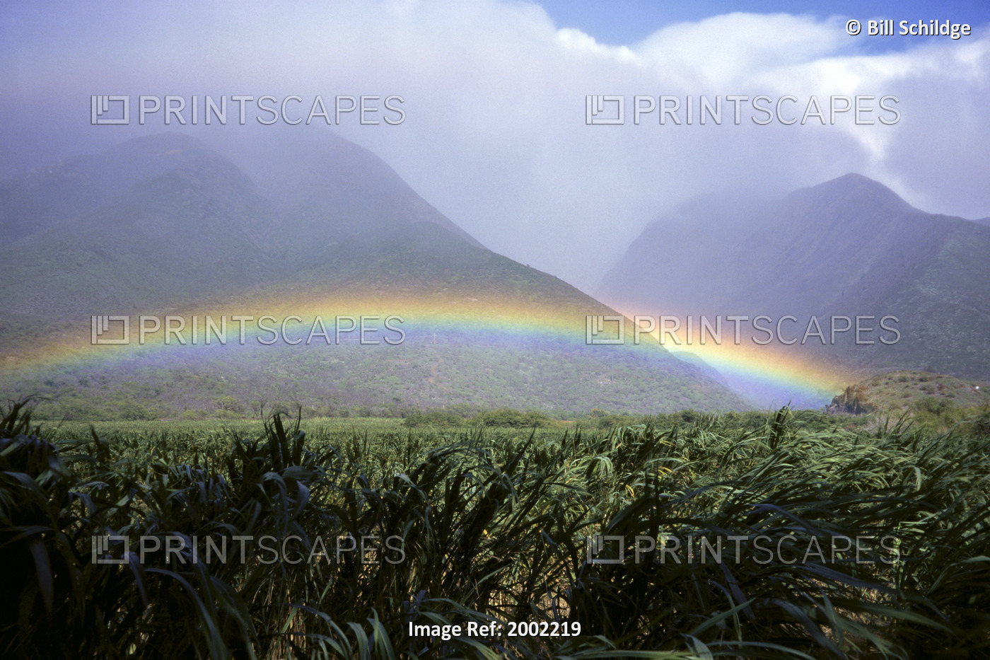 View Of Low Rainbow At Base Of Mountains, Clouds, Blue Sky, Field