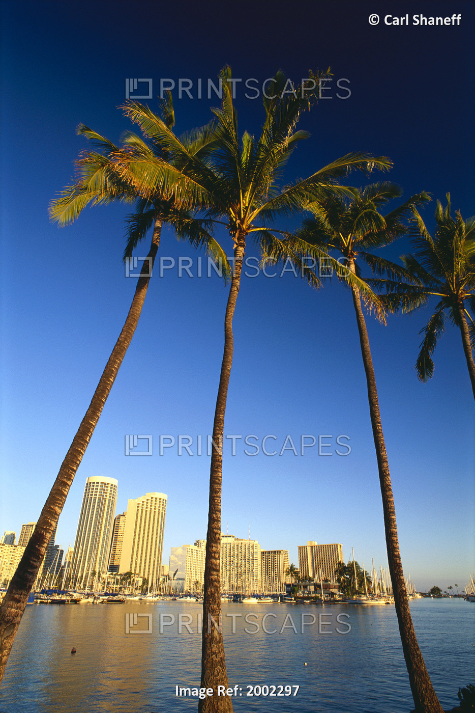 Hawaii, Oahu, Daytime View Of Waikiki Skyline And Harbor, Palm Trees In ...