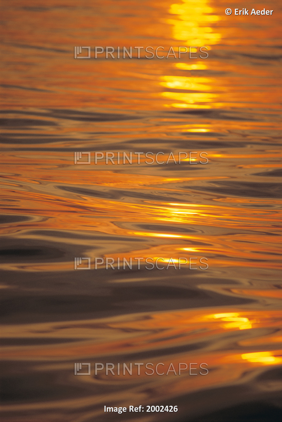 Sunset Orange And Gold Reflections On Smooth Ocean Surface