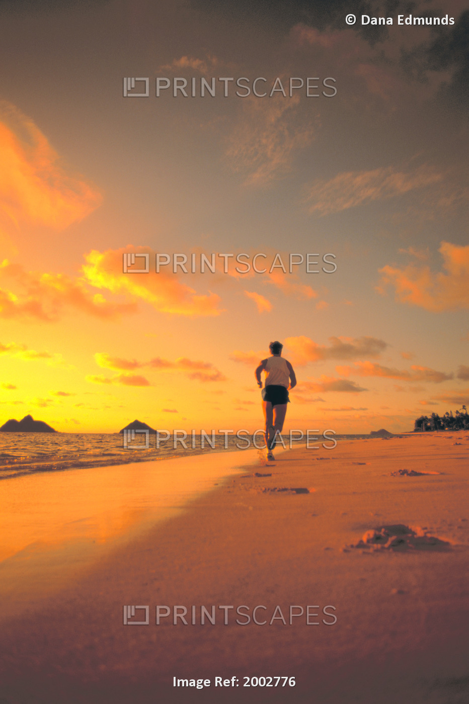 View From Behind Man Running Along Shoreline, Pink Orange Sunrise Sky
