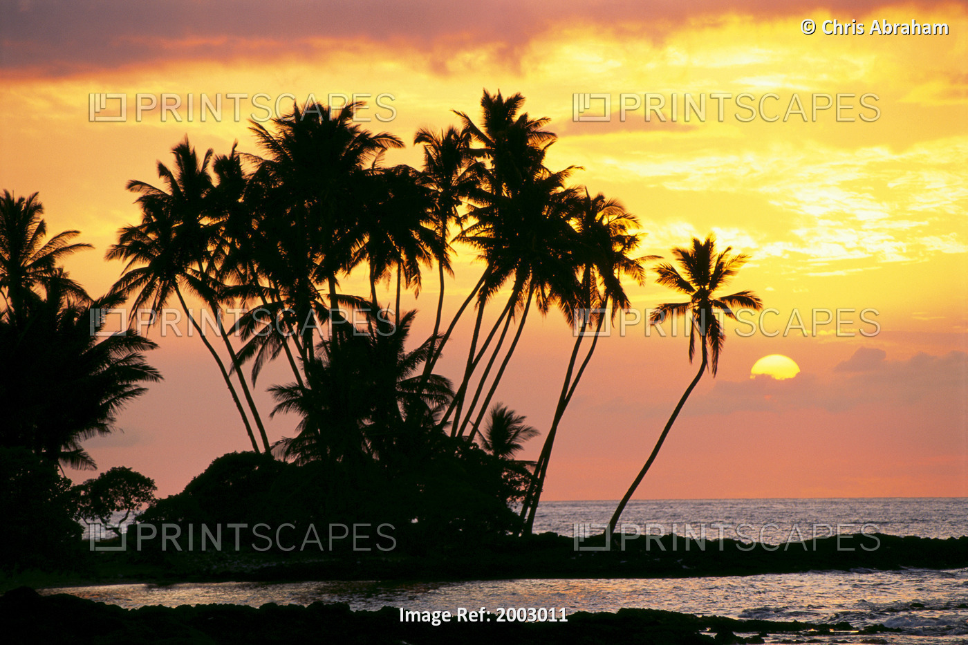 Hawaii, Big Island, Wailua Bay, View Of Palm Trees At Sunset, Calm Ocean Waters