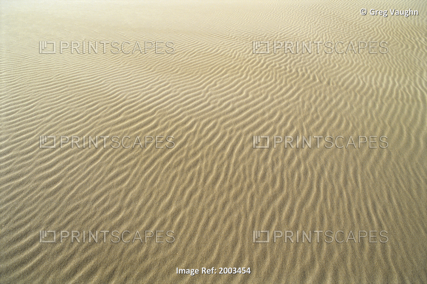 Oregon, Close-Up Of Sand Patterns In The Umpqua Dunes
