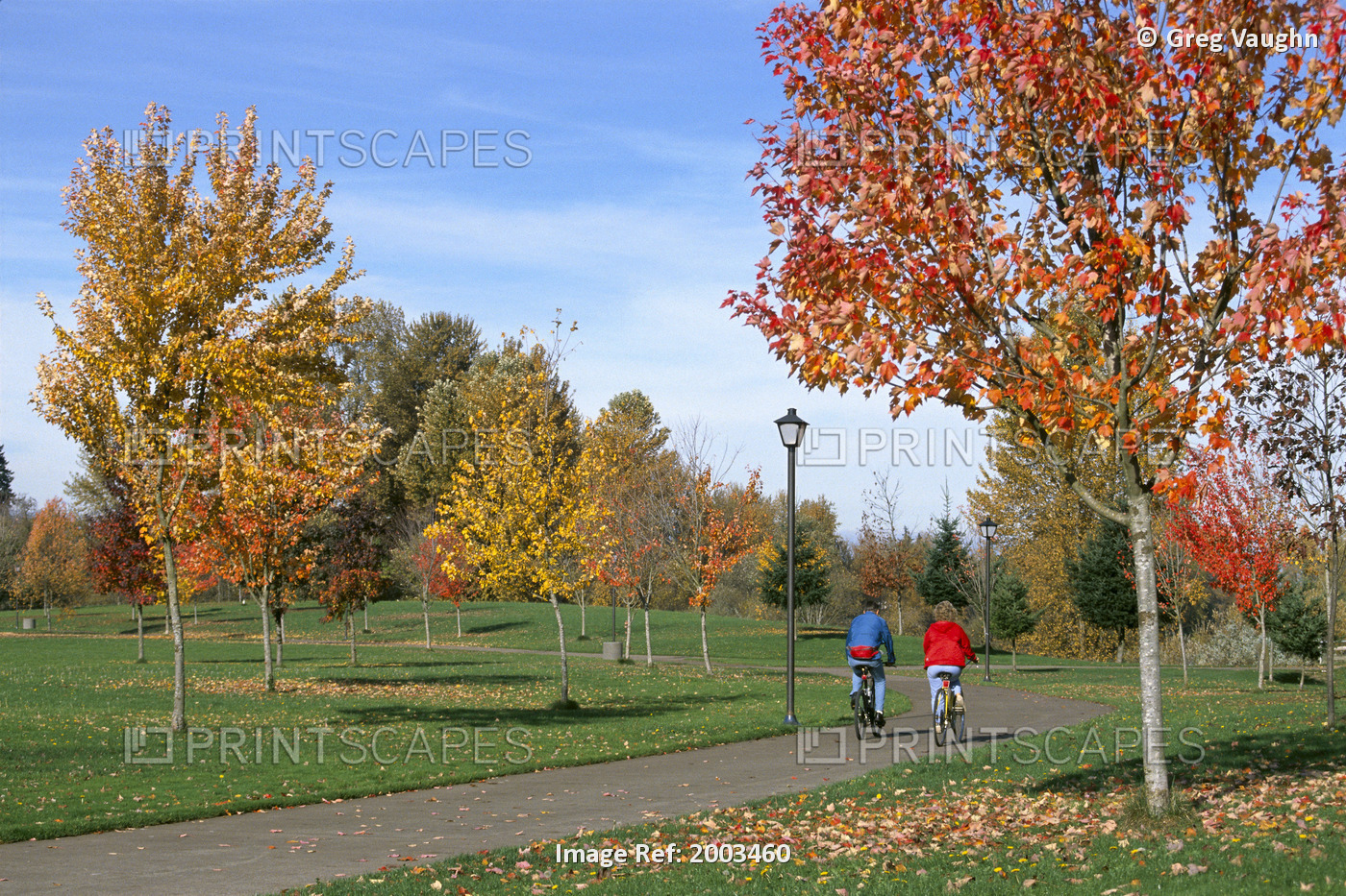 Oregon, Eugene, Couple Bicycle In City Park In Autumn, View From Behind