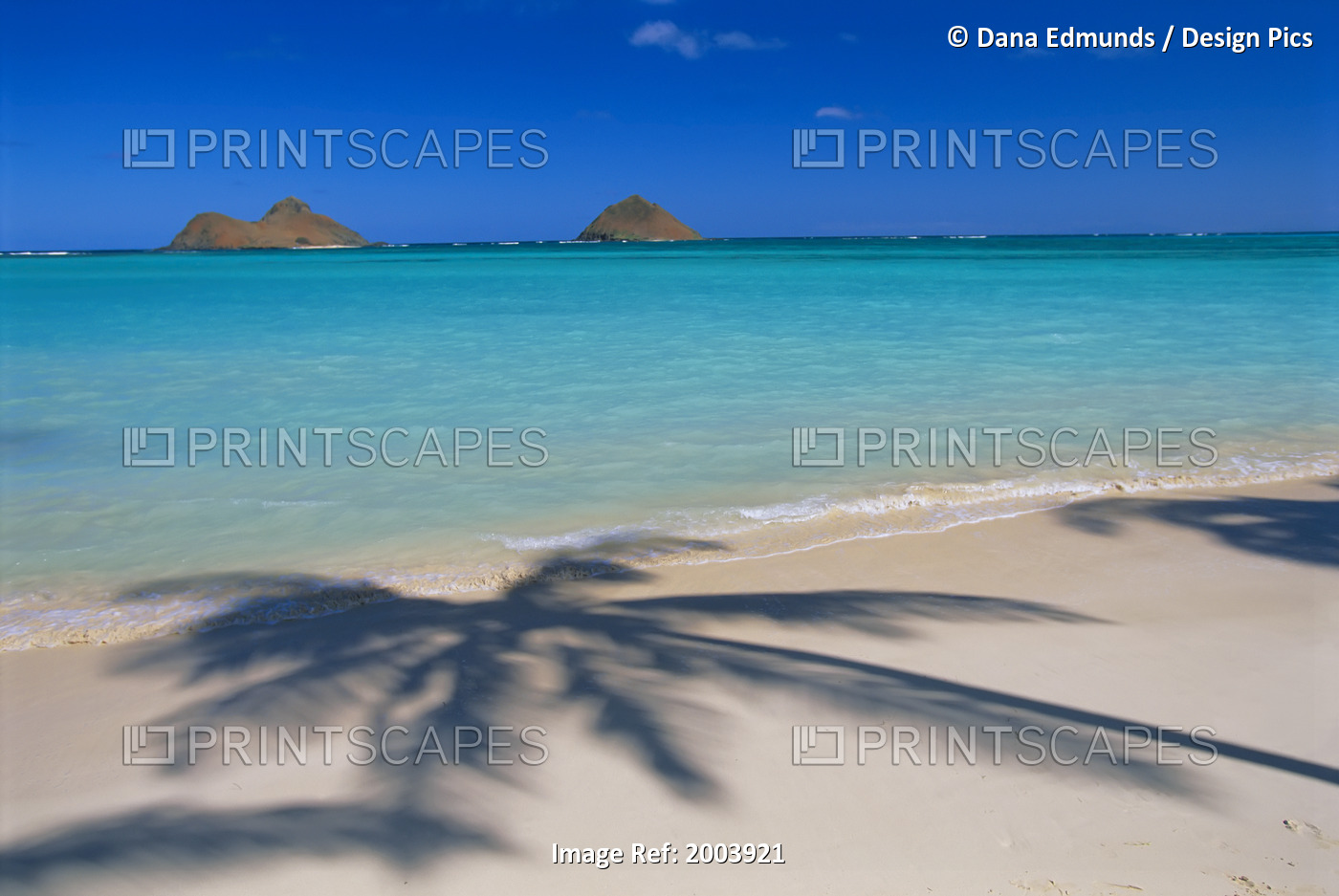 Hawaii, Oahu, Lanikai Beach, Palm Shadows On White Sand, Turquoise Ocean