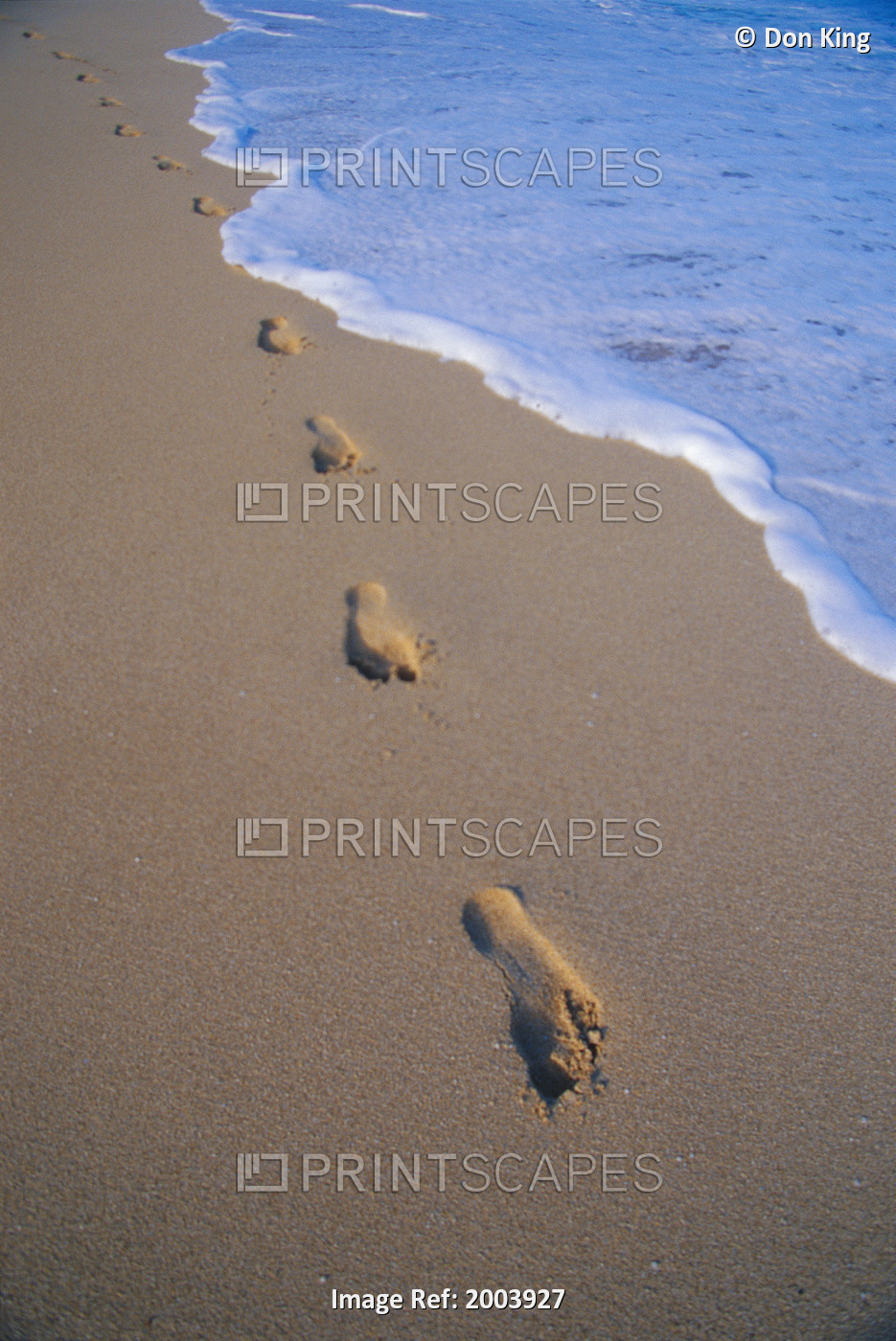 Footprints In Sand Walking Toward Camera, Foamy Shoreline Whitewash