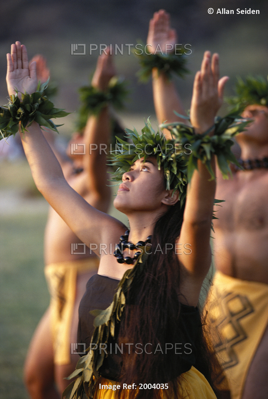 Side Angle Of Hula Dancers Kahiko All With Arms Raised, Looking Upward