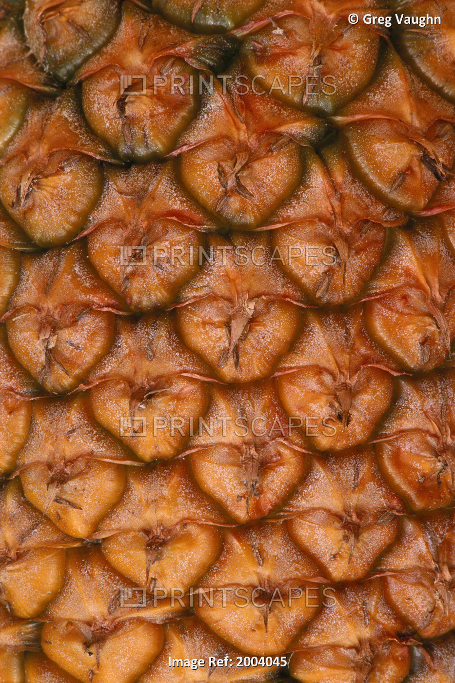 Extreme Close-Up Of Single Pineapple Fruit Skin, Detail