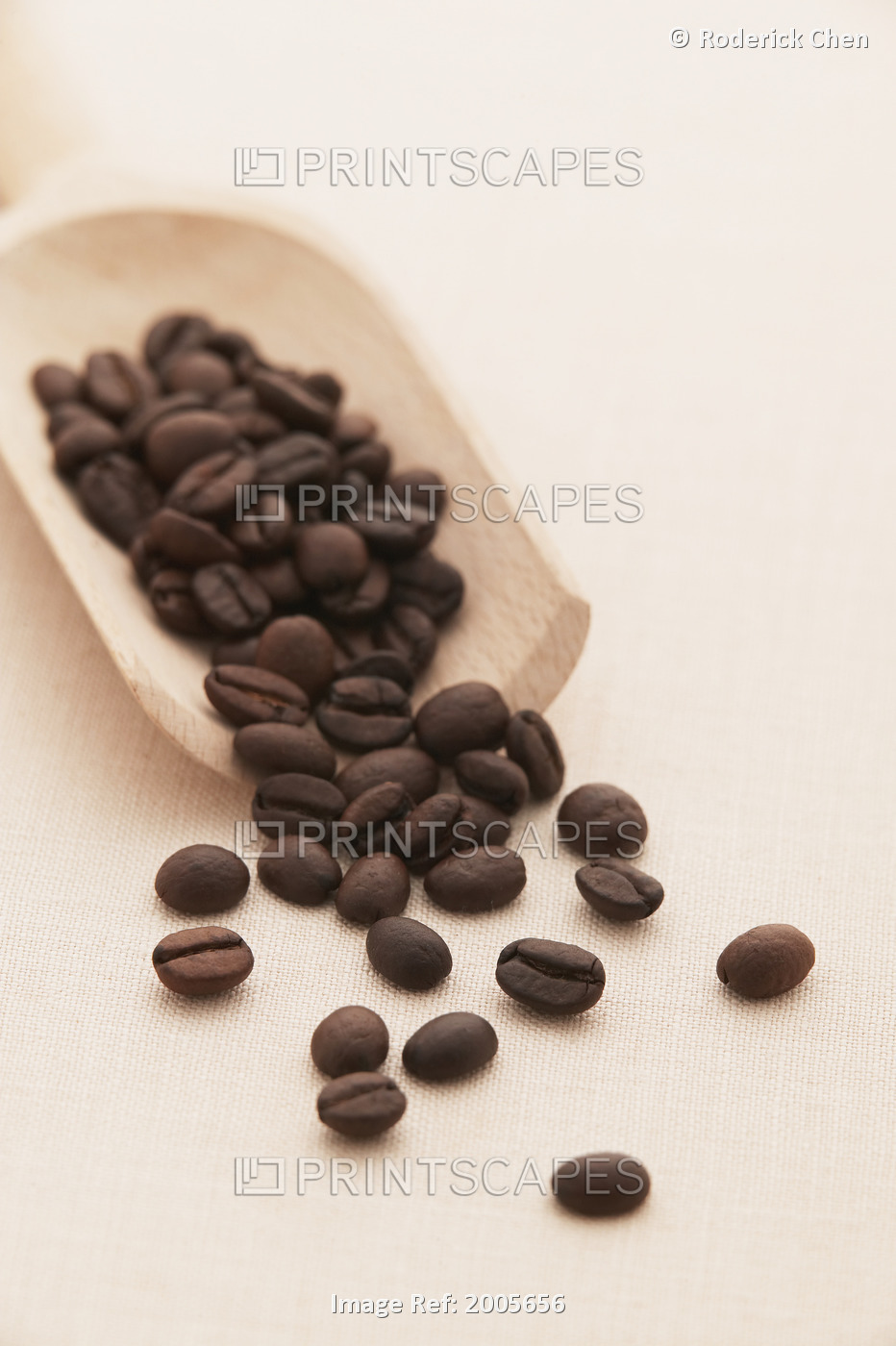 Fv5381, Roderick Chen; Coffee Beans
