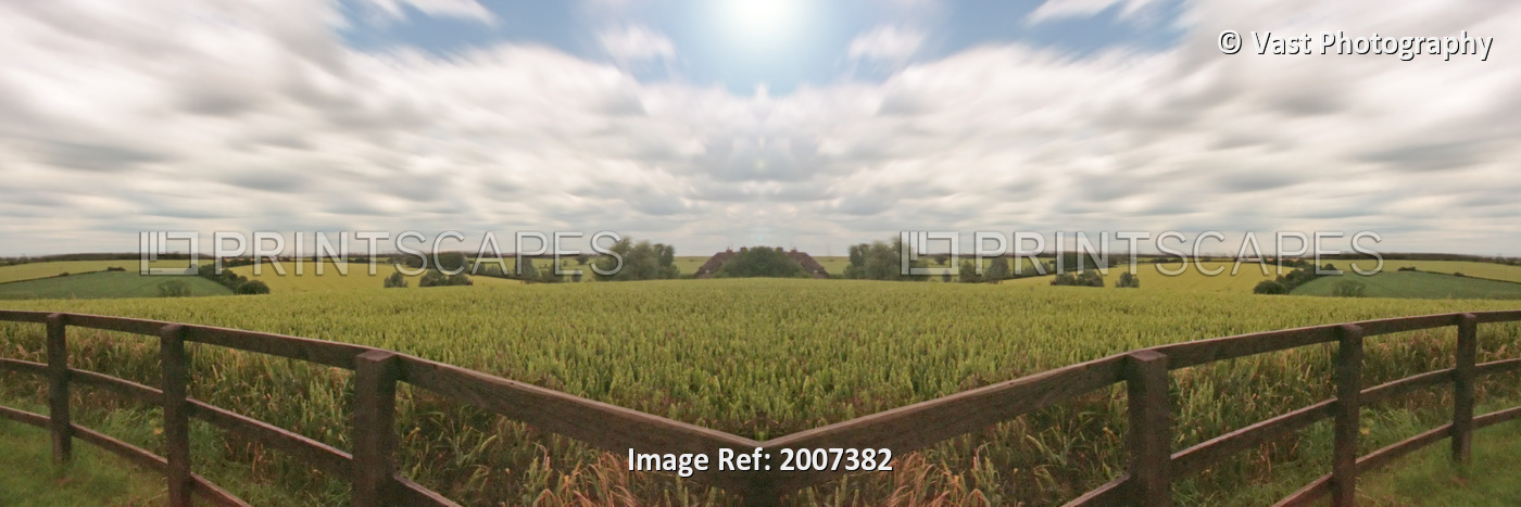Field And Sky, South England