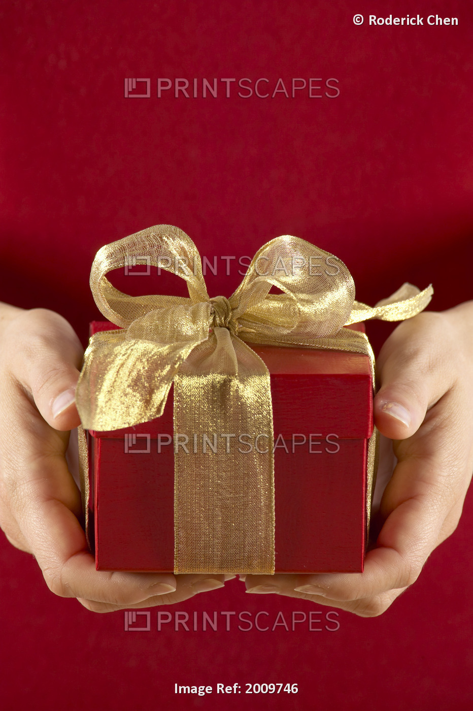 Hands Holding Red Present