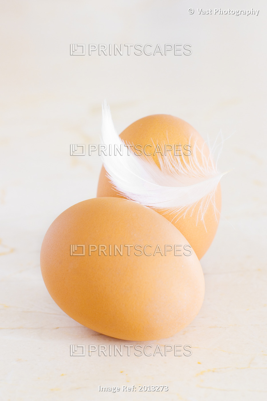 Eggs With Feather Balanced On Top.