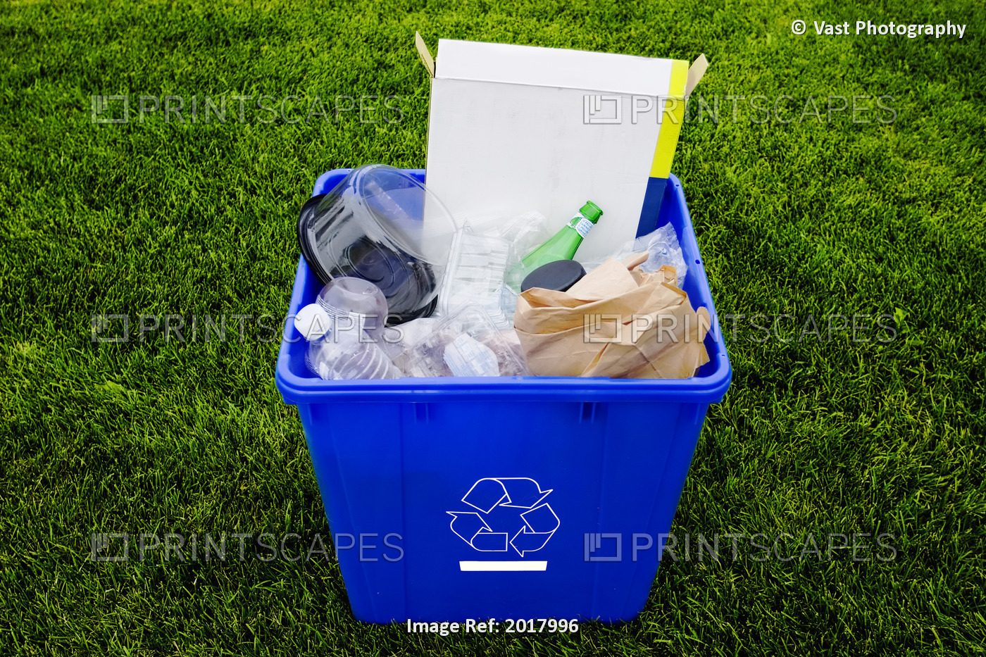 Recycling Bin On Lawn