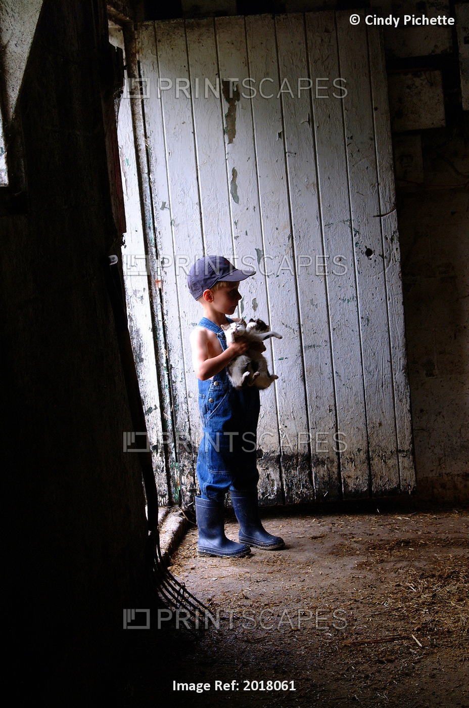 Young Boy With Kittens In Barn