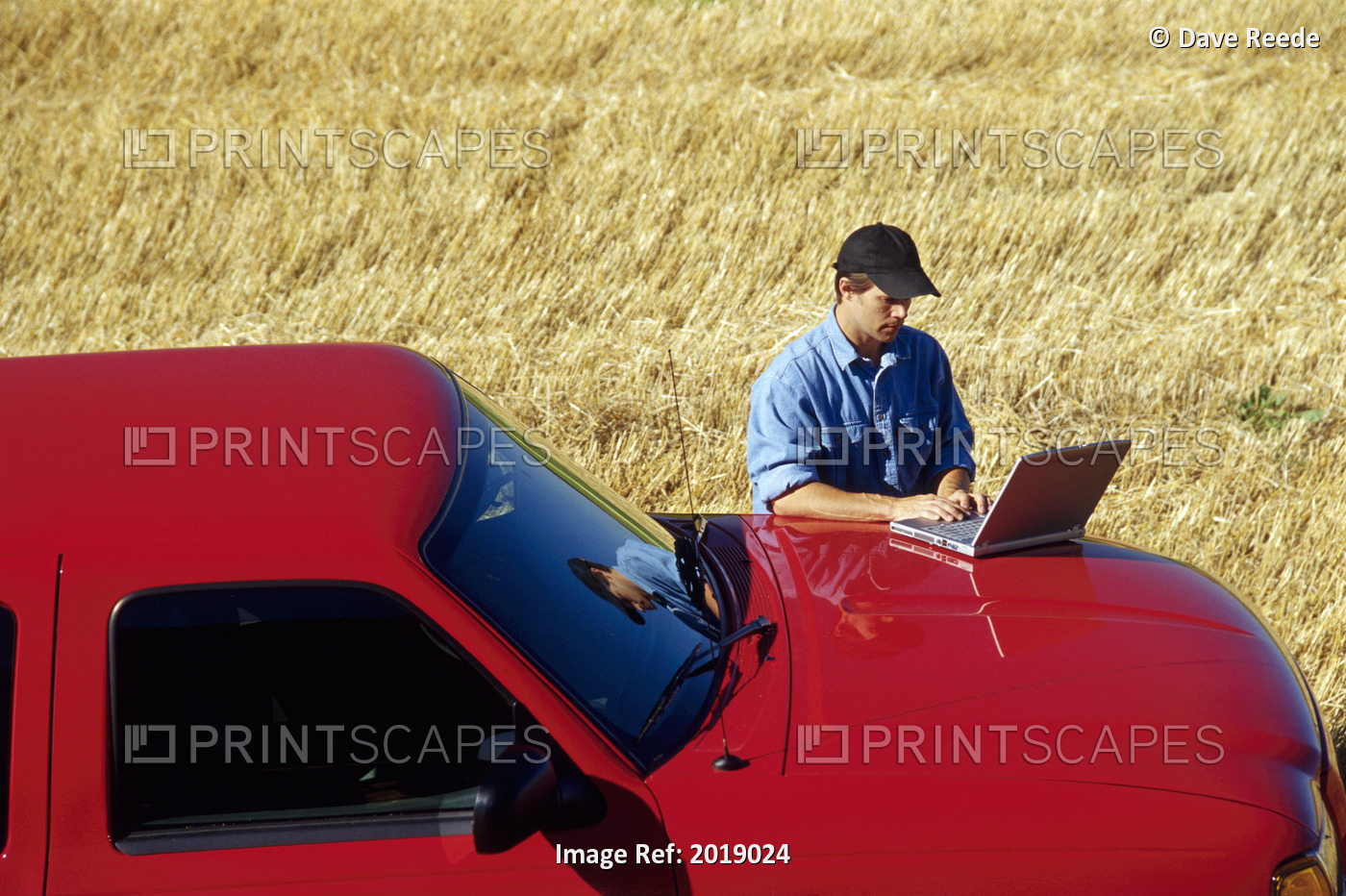 Farmer Using Laptop In Wheat Field, Tiger Hills, Manitoba
