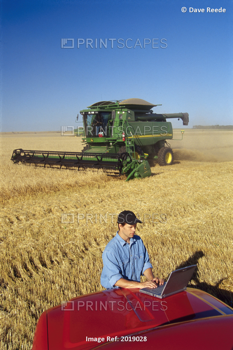 Farmer Using Laptop In Wheat Field, Tiger, Hills, Manitoba