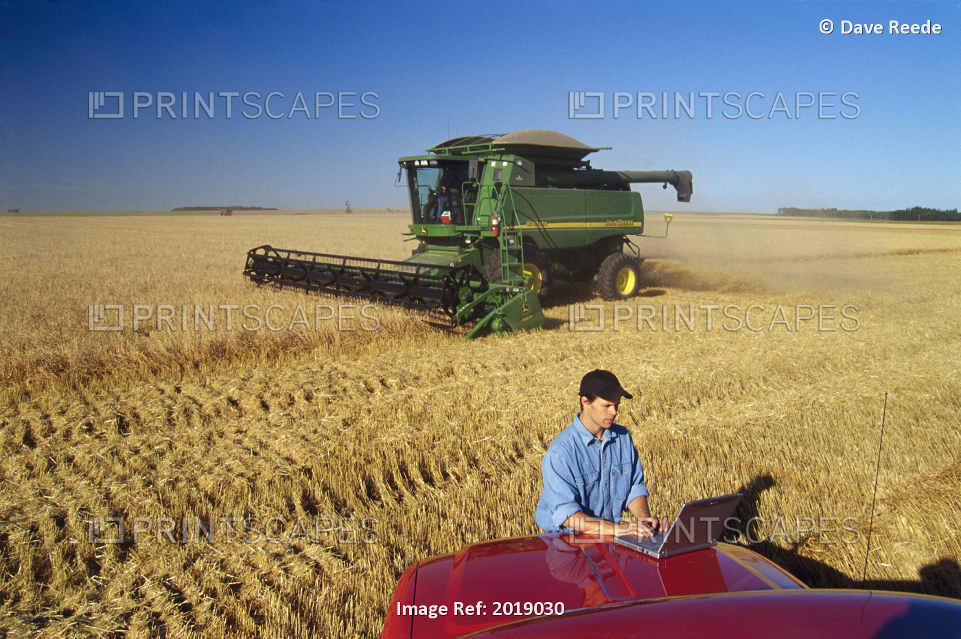 Farmer Using Laptop In Wheat Field, Tiger Hills, Manitoba