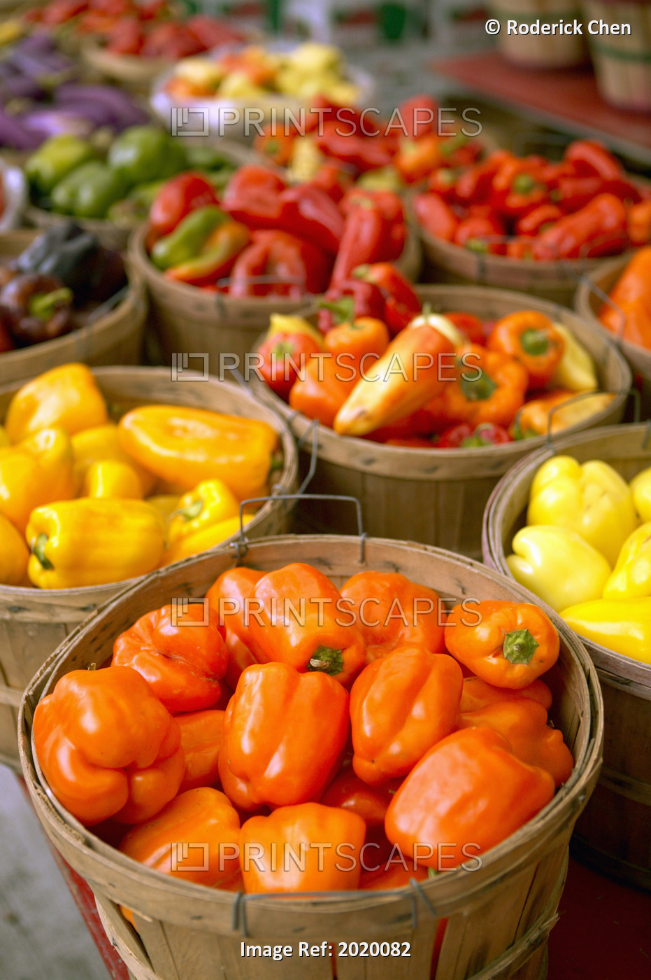 Yellow And Orange Peppers, Jean-Talon Farmer's Market, Montreal, Quebec