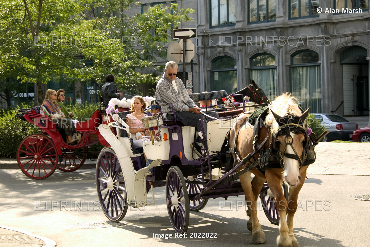 Horse Drawn Carriage, Old Montreal, Quebec.