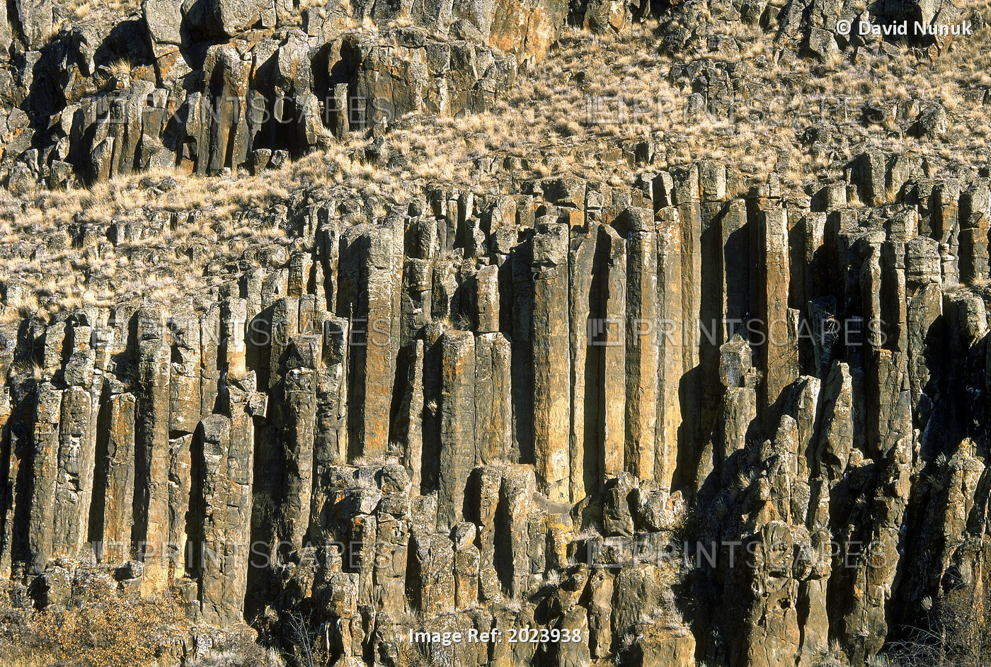 Columnar Basalt, British Columbia, Canada