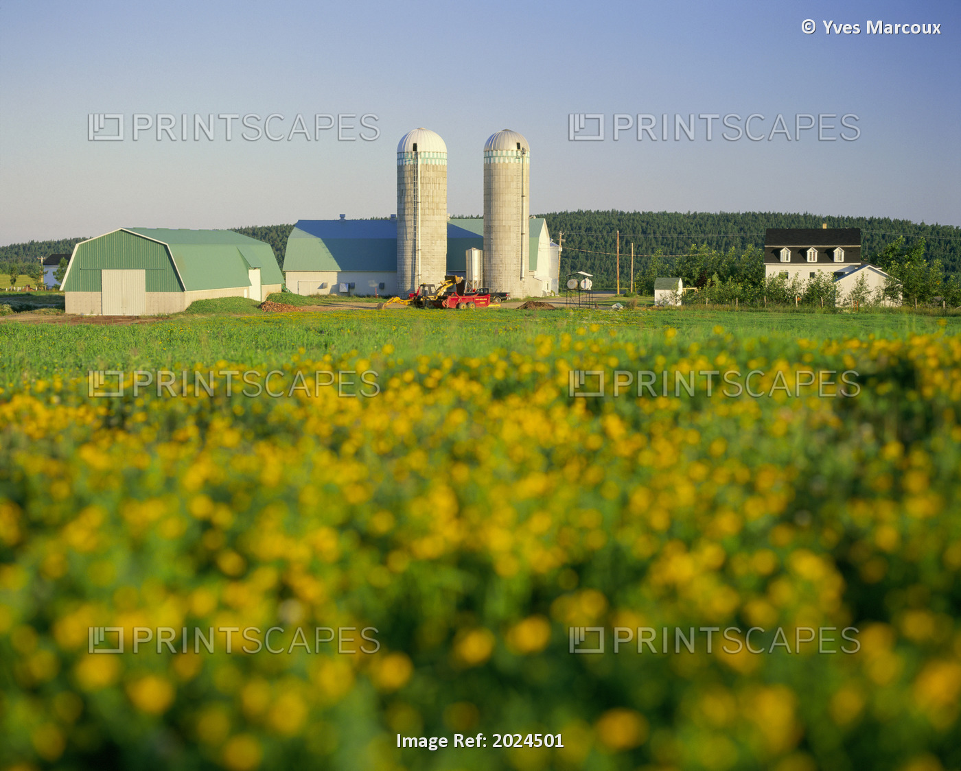 Farm And Field, Bas St Laurent Region, Quebec