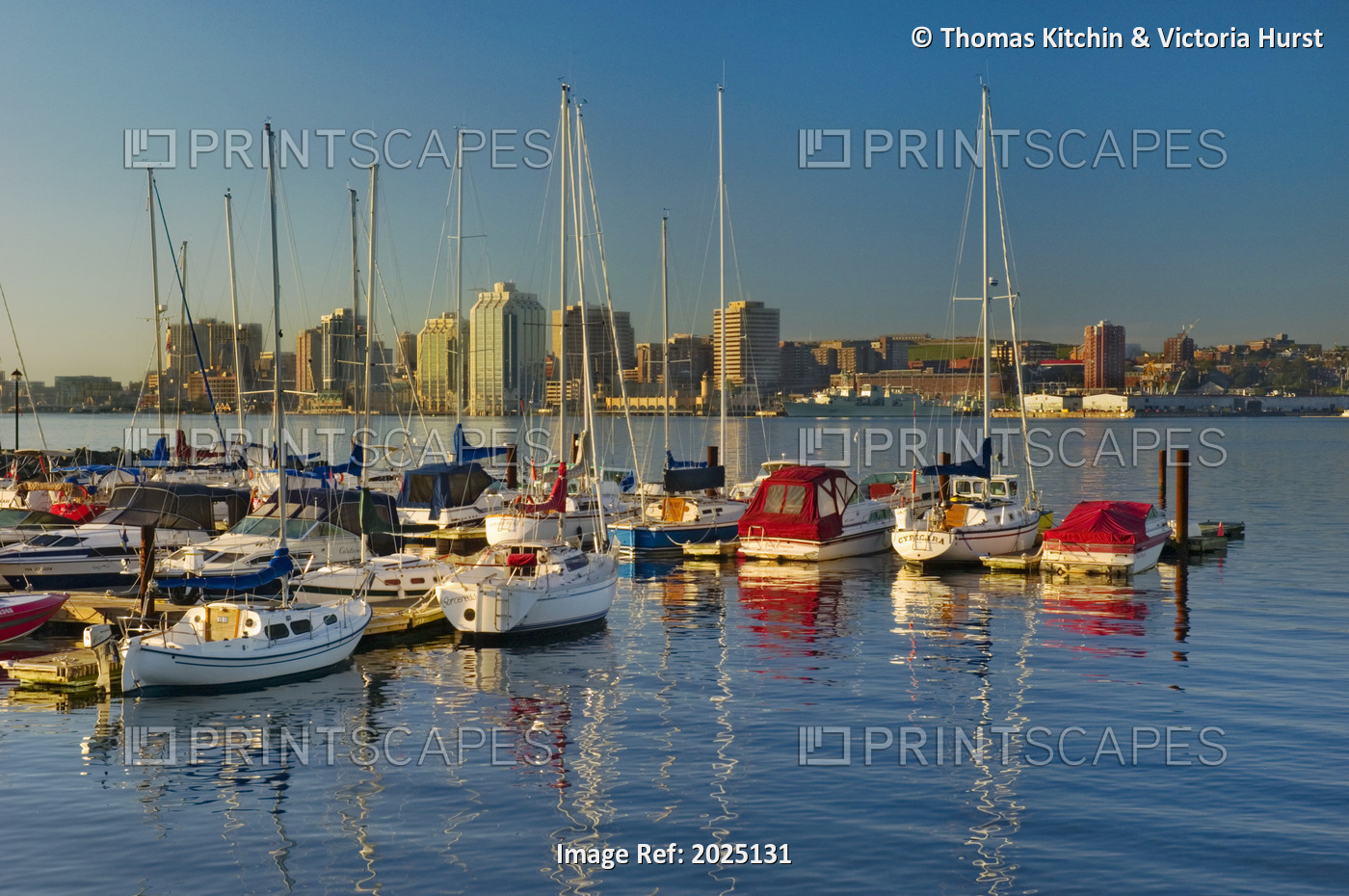 Marina Boats In Early Morning, Halifax, Nova Scotia