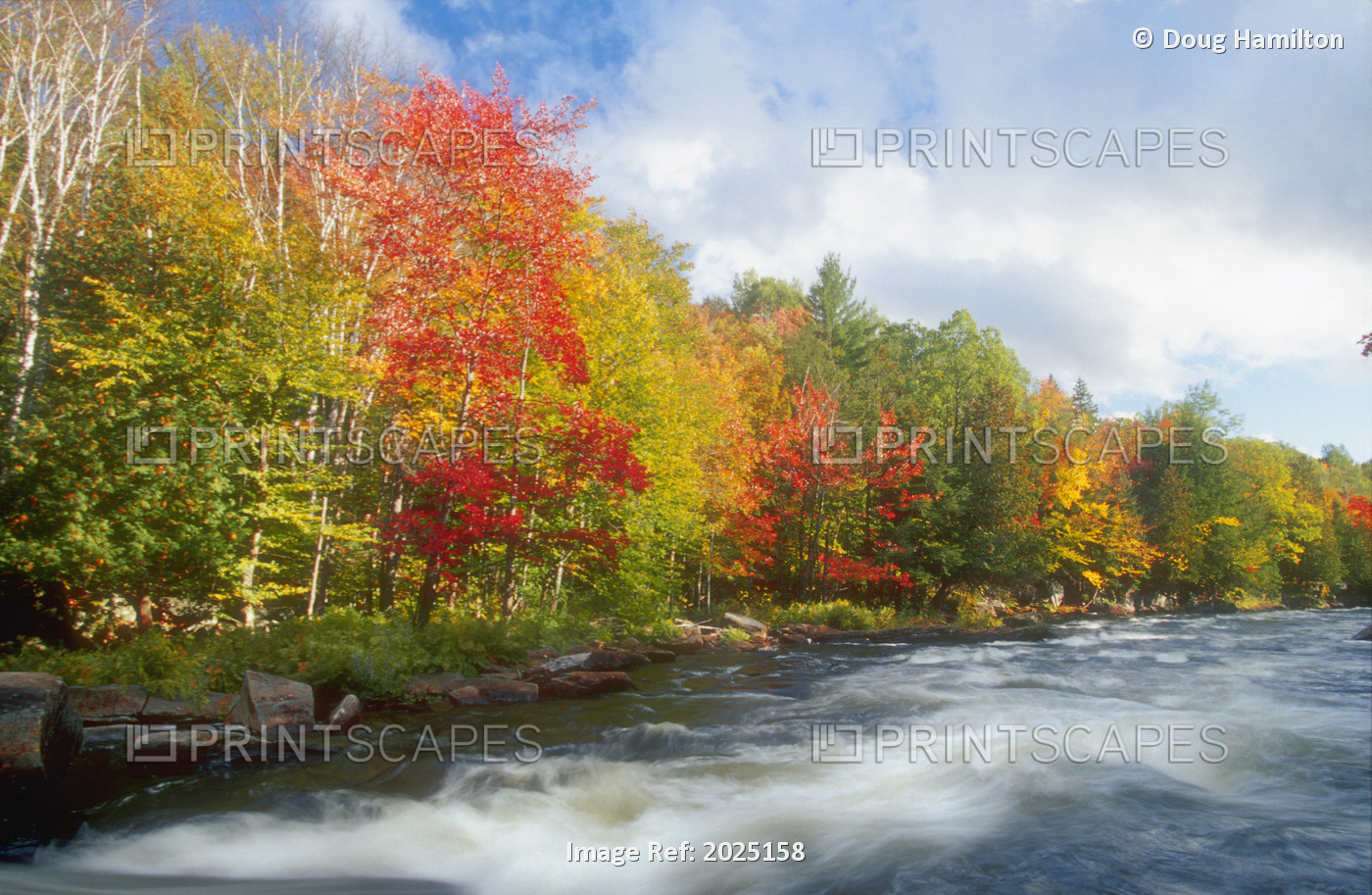 Oxtongue River Provincial Park, Dwight, Ontario