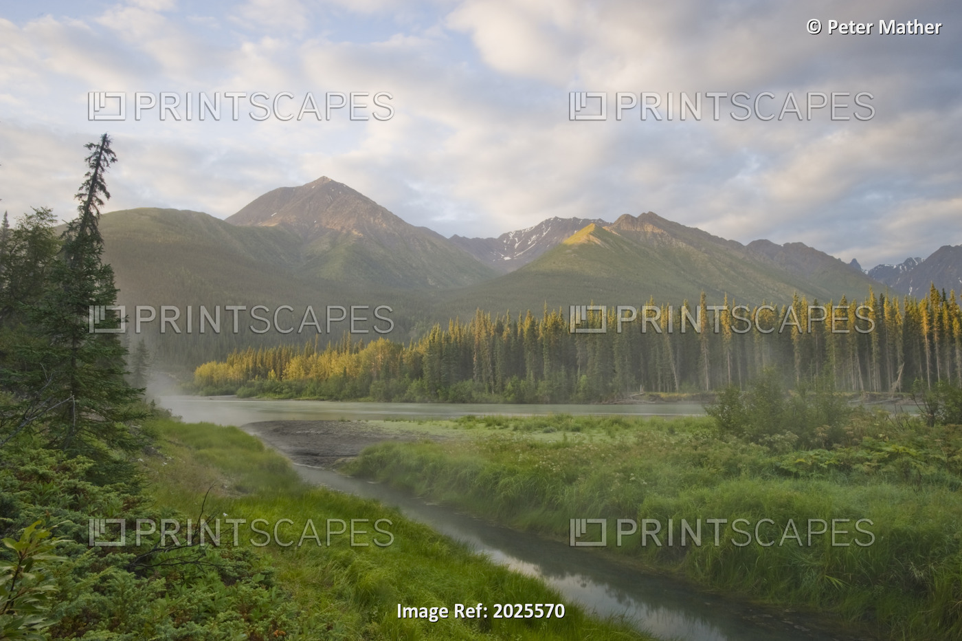 Steam Rising From Moore's Hot Springs With Lush Grass In Foreground, Nahanni ...