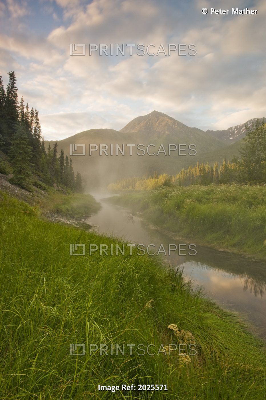 Steam Rising From Moore's Hot Springs With Lush Grass In Foreground, Nahanni ...