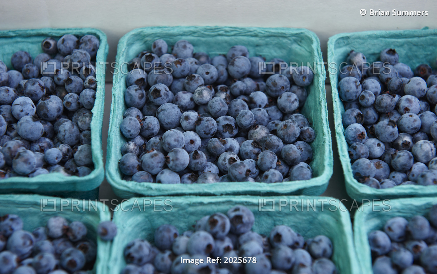 Fresh Blueberries, Riverdale Farmer's Market, Toronto, Ontario