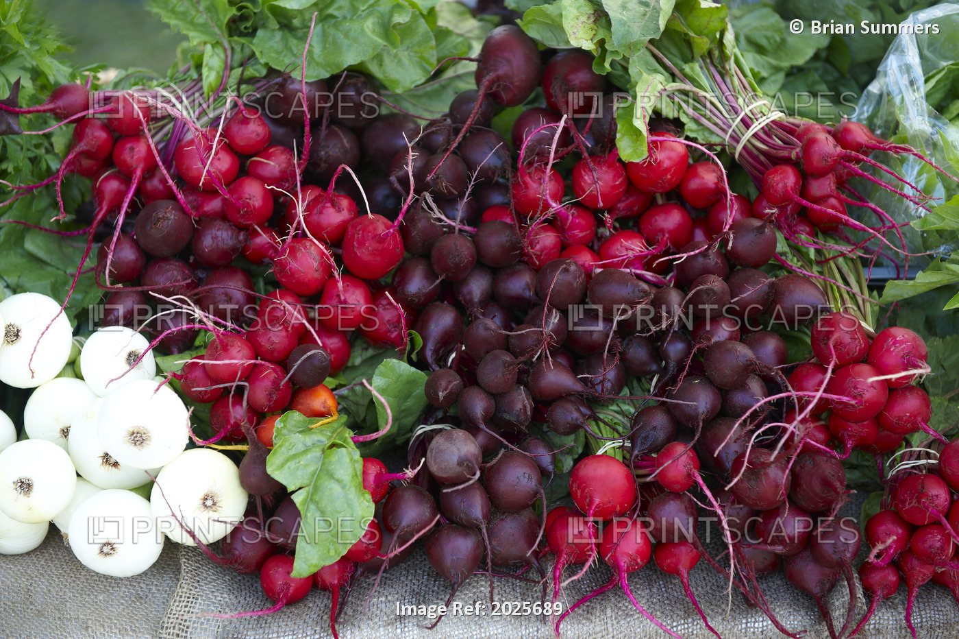 Beets And Onions, Riverdale Farmer's Market, Toronto, Ontario