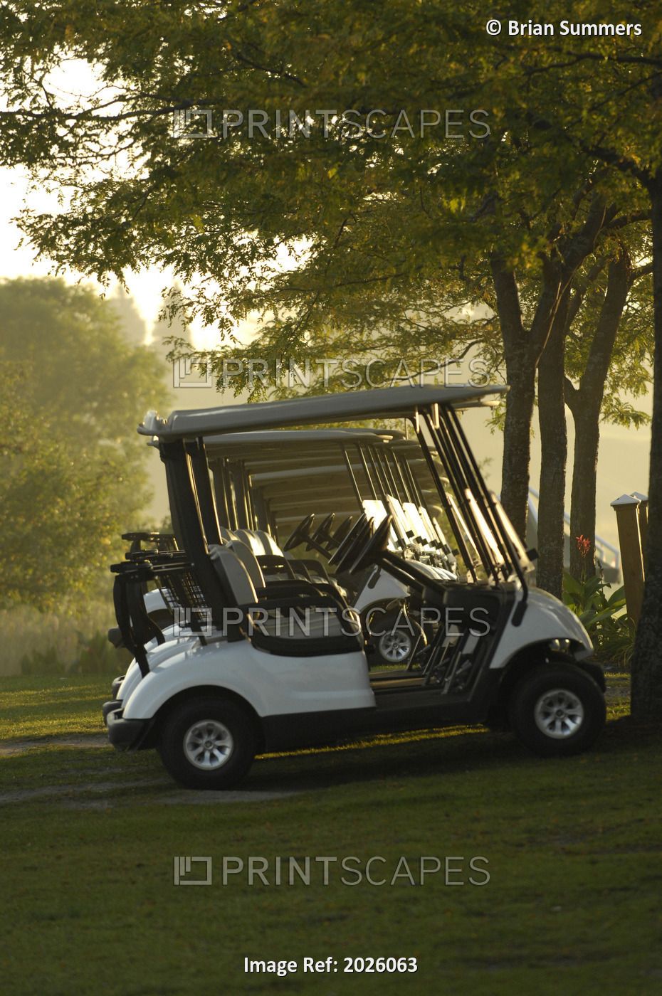 Golf Carts In Early Morning At A Golf Club, Newmarket, Ontario