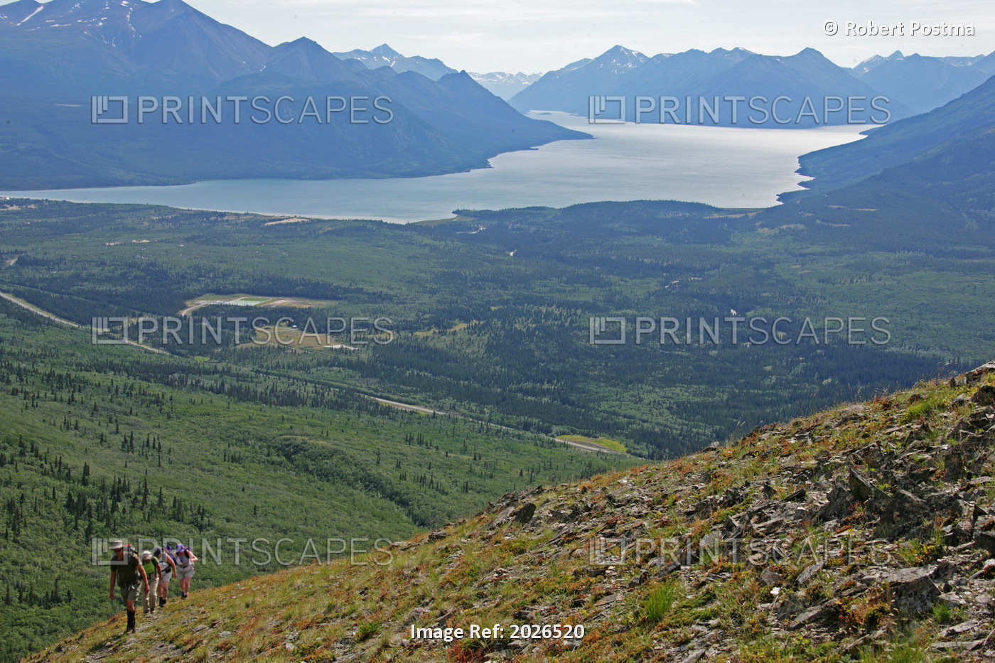 Hikers On Caribou Mountain With Bennett Lake In Distance, Carcross, Yukon