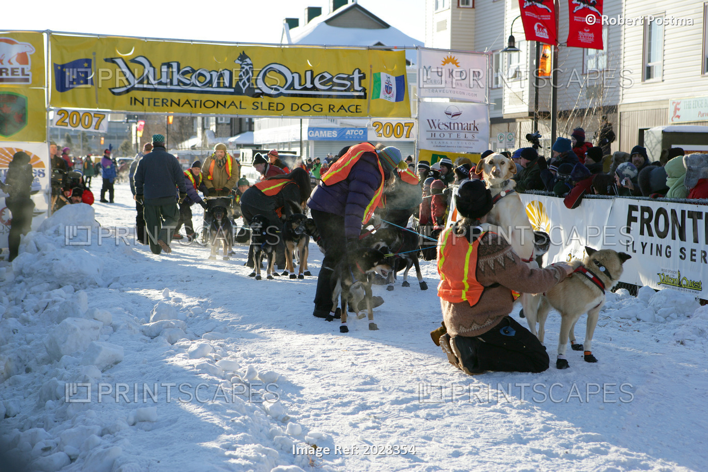 Start Of The Yukon Quest Dog Sled Race, Downtown Whitehorse, Yukon