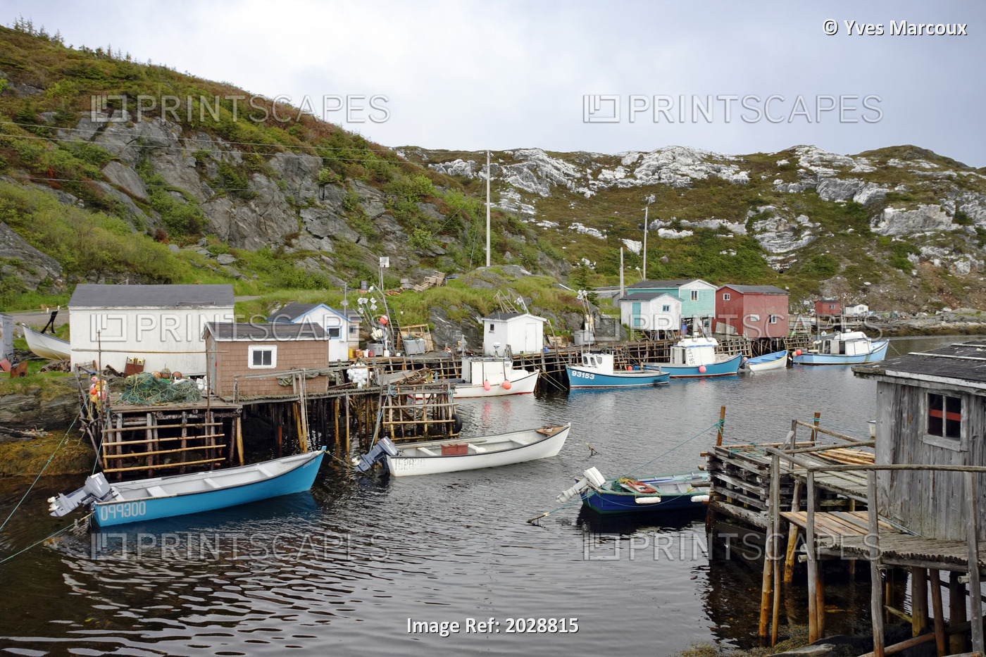 View Of Boats In Harbour, Diamond Cove, Newfoundland