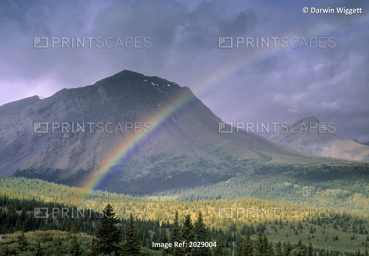 Rainbow Over Willmore Wilderness Park, Alberta, Canada